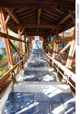 京都市高台寺的加里魯_2 京都市高台寺的加里魯_2 73496364