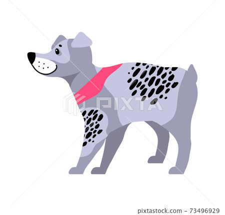 Grey dog best sale with black spots