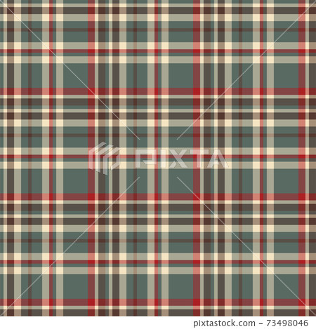 Plaid seamless pattern. Vector background of textile ornament. Flat fabric design. 73498046