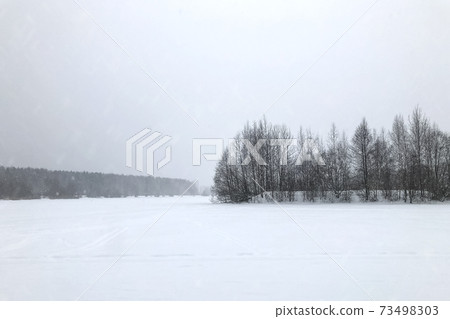 small island with leafless trees in the middle of a snow-covered lake during a snowfall winter minimalistic landscape small island with leafless trees in the middle of a snow-covered lake during a snowfall winter minimalistic landscape 73498303