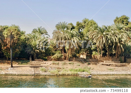 Egypt. The river bank of Nile with a row boat and palm trees. Aswan to Luxor. Egypt. The river bank of Nile with a row boat and palm trees. Aswan to Luxor. 73499118
