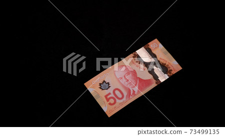 $ 50，一加元 73499135