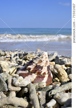 砲彈在of美大島高賽義海岸上漂泊 73501487