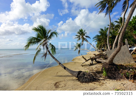 Saipan Island, south of Micro Beach, along the beach 73502315