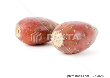 Cactus Fruit Cactus Fruit 73502892