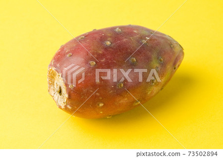 Cactus Fruit Cactus Fruit 73502894