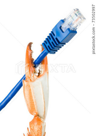 Crab Claw and Network Cable Crab Claw and Network Cable 73502997