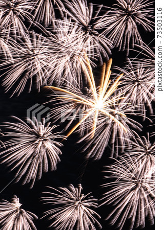 Large fireworks in the night sky (Todabashi / Itabashi Fireworks Festival) Large fireworks in the night sky (Todabashi / Itabashi Fireworks Festival) 73503116