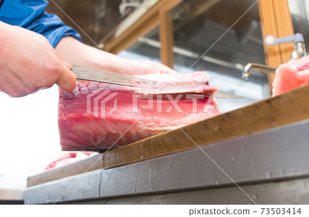 Tuna judges 73503414