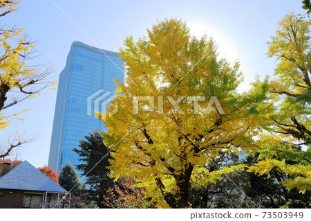 東京日比谷公園的秋天 73503949