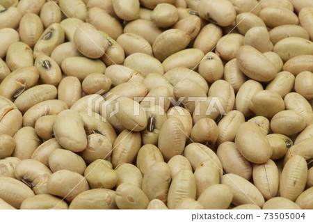 Iri beans (soybeans) 73505004