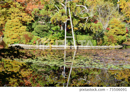 Kyoto Ryoanji's Mirror Pond 73506091
