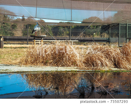 野田幸之 73507293