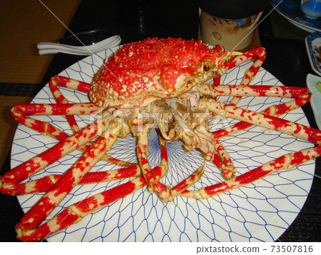 日本蜘蛛蟹 73507816