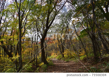 我去了那須平成森＃48 73508304