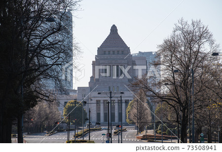 日本的東京城市景觀緊急狀態下的國會大廈的視圖（紅燈...）= 1月16日星期六 73508941