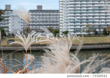 宮城湯yu公園附近的um田川/對岸風景 宮城湯yu公園附近的um田川/對岸風景 73509581