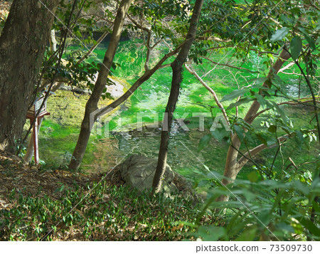 Izuruhara Bentenike Izuruhara Bentenike 73509730