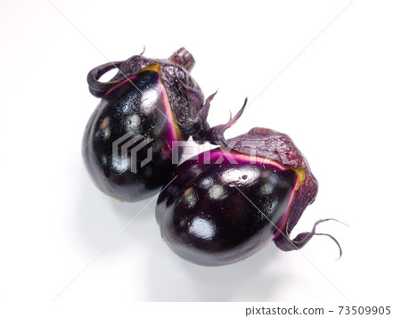 Eggplant eggplant 73509905