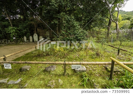 Byakugoji Temple, the remains of the Tahoto, Nara City, Nara Prefecture 73509991