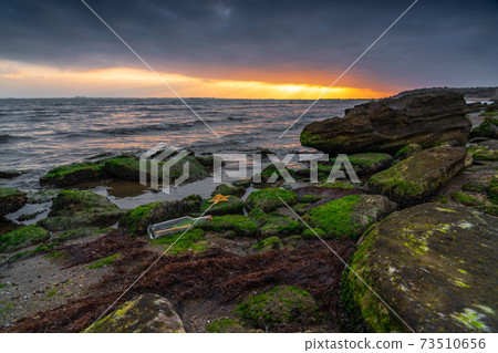 Message in a bottle on a rock covered with green algae, asking for help, SOS 73510656