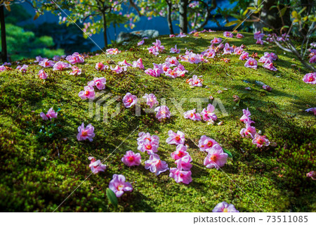 Yuraku Tsubaki Tojiin Yuraku Tsubaki Tojiin 73511085