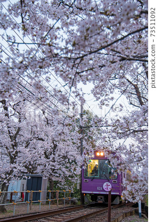 Storm electric cherry tunnel 73511092