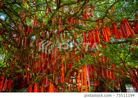 Decoration of Suitien Park Red decoration [Vietnam image] 73511194