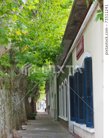 <烏拉圭>科洛尼亞·德爾·薩庫曼特(Colonia del Sakurament)的綠樹成蔭的街道 <烏拉圭>科洛尼亞·德爾·薩庫曼特(Colonia del Sakurament)的綠樹成蔭的街道 73511241