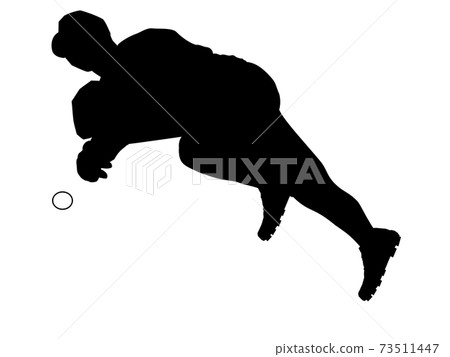 Shadow baseball second 73511447