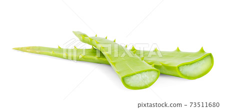 Aloe vera slice isolated on white background. Aloe vera slice isolated on white background. 73511680