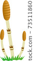 Tsukushi 73511860