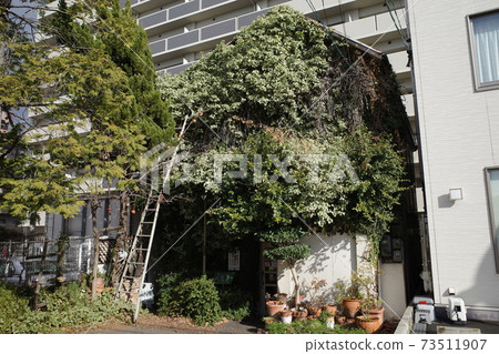 Old and beautiful Japanese building 73511907