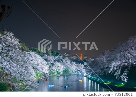 Chidorigafuchi night cherry tree Chidorigafuchi night cherry tree 73512001