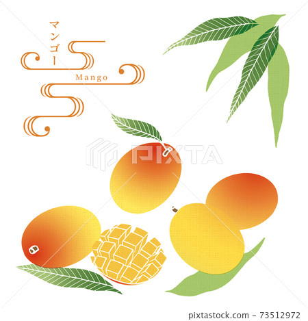 Mango illustration / Tenugui style / Japanese pattern 73512972