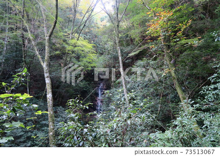 Mt. Iwawaki-Gyosha no Taki- Mt. Iwawaki-Gyosha no Taki- 73513067