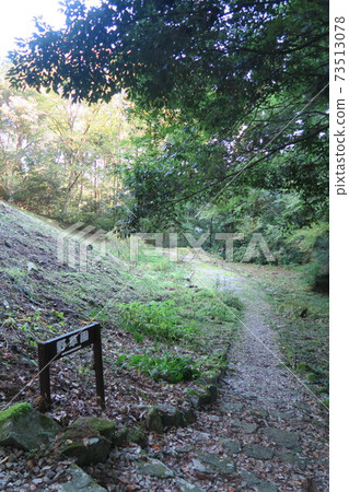 Mt. Iwawaki ~ Wildflower Garden ~ 73513078