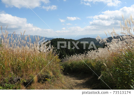 岩羽山頂花壽喜 73513174