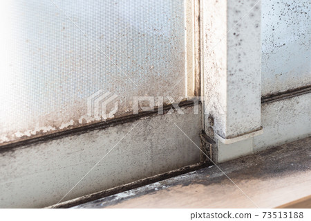 Moldy sash due to condensation 73513188