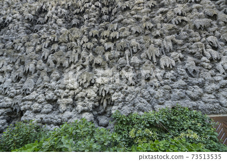 Wallestein palace  in Prague 73513535