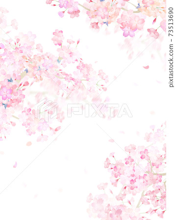 Cherry material-there are multiple variations Cherry material-there are multiple variations 73513690