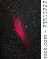 California Nebula 73513727