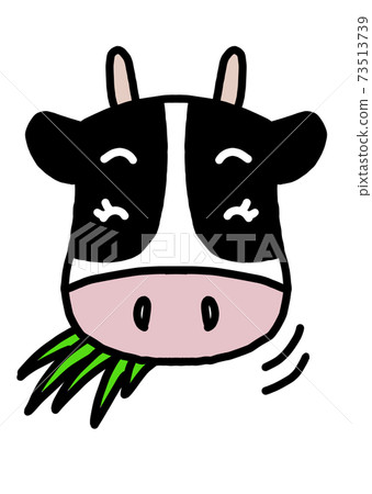 A cute Holstein cow facing the front (close your eyes, smile and graze, white background) 73513739
