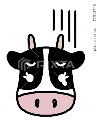 Cute Holstein cow facing the front (sad, white background) 73513740