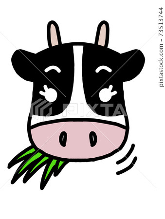 Cute Holstein cow facing the front (no expression, grassy, white background) 73513744