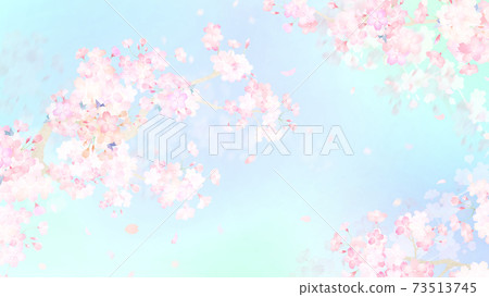 Cherry blossom background-there are multiple variations Cherry blossom background-there are multiple variations 73513745