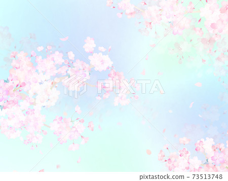 櫻花背景-有多種變體 櫻花背景-有多種變體 73513748
