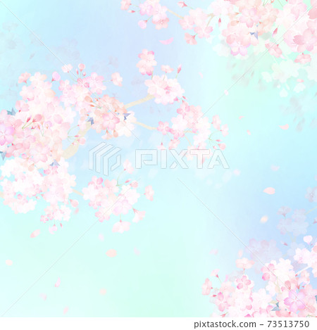 櫻花背景-有多種變體 櫻花背景-有多種變體 73513750