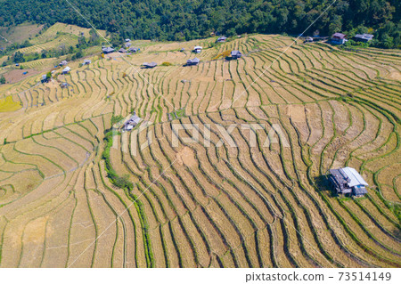 Aerial top view of dry paddy rice terraces, green agricultural fields in countryside, mountain hills valley in Asia, Pabongpieng, Chiang Mai, Thailand. Nature landscape. Crops harvest. drought 73514149