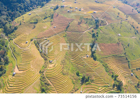 Aerial top view of dry paddy rice terraces, green agricultural fields in countryside, mountain hills valley in Asia, Pabongpieng, Chiang Mai, Thailand. Nature landscape. Crops harvest. drought 73514156